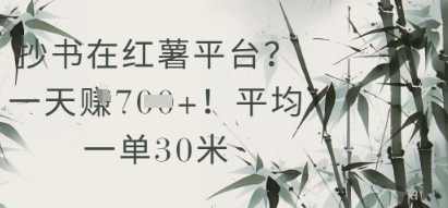抄书在小红薯平台平均一单30米，一天收益几张！【揭秘】,第1张