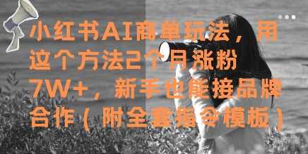 小红书AI商单玩法，用这个方法2个月涨粉7W+，新手也能接品牌合作(附全套指令模板)【揭秘】,模板,合作,第1张