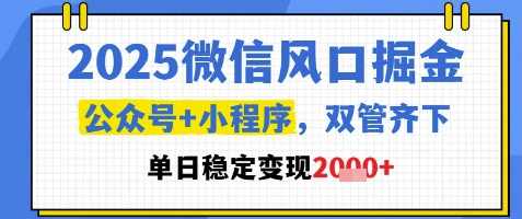 2025微信风口掘金，公众号+小程序双管齐下，单日稳定变现1k+【揭秘】,课程,微信,小程序,收藏,第1张