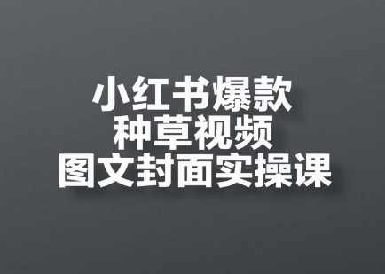 小红书爆款种草视频图文封面实操课，开店、选品、引流、变现全流程,课程,第1张