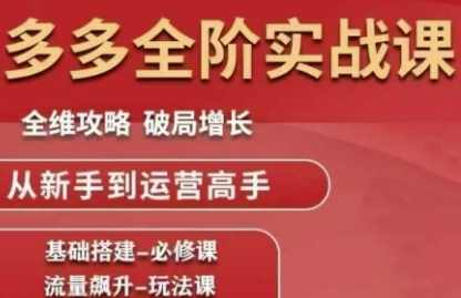 拼多多全阶实战课程，全维攻略，破局增长，从新手到运营高手