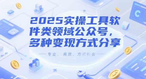 2025实操工具软件类领域公众号，多种变现方式分享