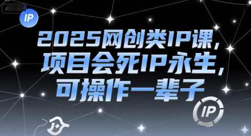 2025网创类IP课，项目会死IP永生，可操作一辈子，网创IP永生策略，2025项目会死IP永生，可操作一辈子,课程,理解,目标,微信,成长,第1张
