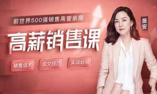 薇安 18节高薪销售课，销售精英速成课，薇安18节高薪销售课