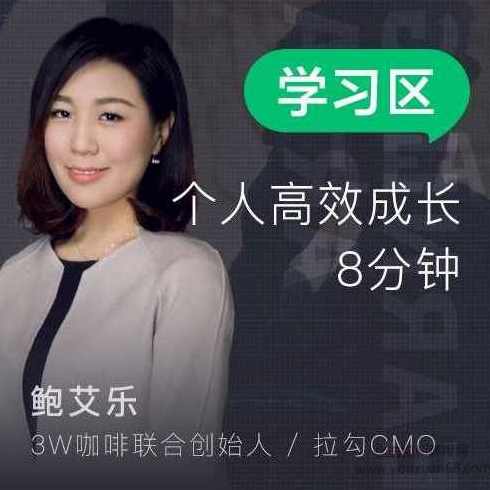 薪资进阶手册：BAT工作法，BAT工作法进阶手册，高薪秘诀与职业发展