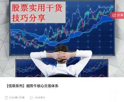 【低吸系列】量金主线核心，低吸系列，量金主线核心策略,课程,第1张