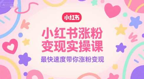 小红书涨粉变现实操课，最快速度带你涨粉变现，小红书快速涨粉变现实战课,课程,直播,理解,定位,第1张