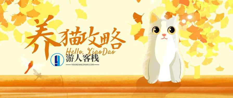 猫咪训练视频 百度云盘分享，猫咪训练视频，实用训练方法分享,攻略,健康,第1张