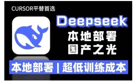 2025年deepseek R1 大型模型本地安装部署(文件+教程)本地部署，超低训练成本，2025年Deepseek R1 大型模型本地安装部署教程，低成本高效部署