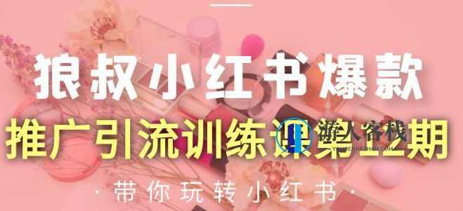 小红书爆款推广引流训练课第12期 百度云盘分享，小红书引流秘籍，第12期百度云盘分享，教你如何快速爆款引流,模板,定位,第1张