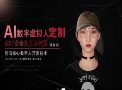 AI数字虚拟人定制，实时语音交互训练营（零基础），前沿核心数字人开发技术，AI数字虚拟人定制，前沿核心数字人开发技术助力零基础实战训练营,课程,第1张