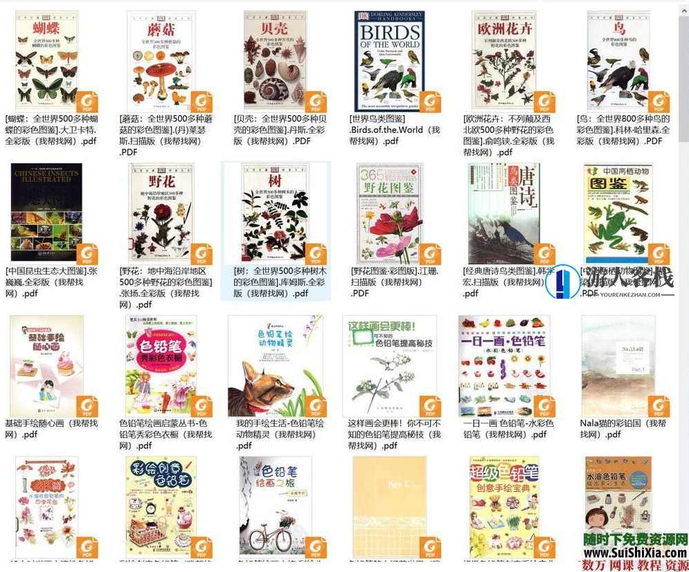 40G最强彩铅零基础入门到高手教学教程，包括大量电子书和绘画视频，40G彩铅入门高手速成教程,学习,蓝星智库,课程,美女,艺术,第10张