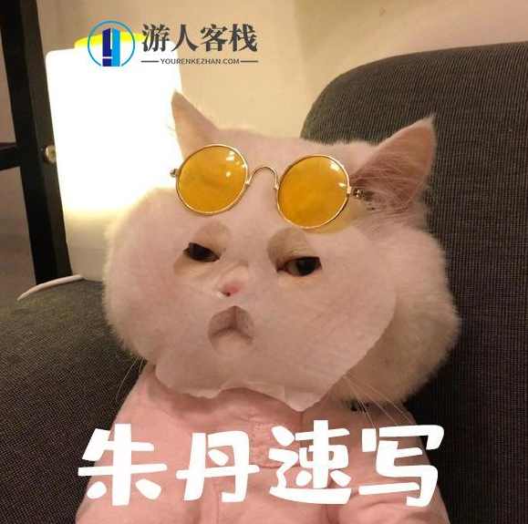 朱丹速写基础课_开启绘画之旅百度云网盘视频教程，朱丹速写基础课，绘画之旅百度云网盘教程,网盘,第1张