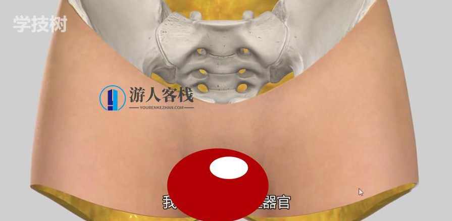 比女人还懂女人：女性生殖系统解析（视频）女性生殖系统解析，比女人还懂女性,第1张