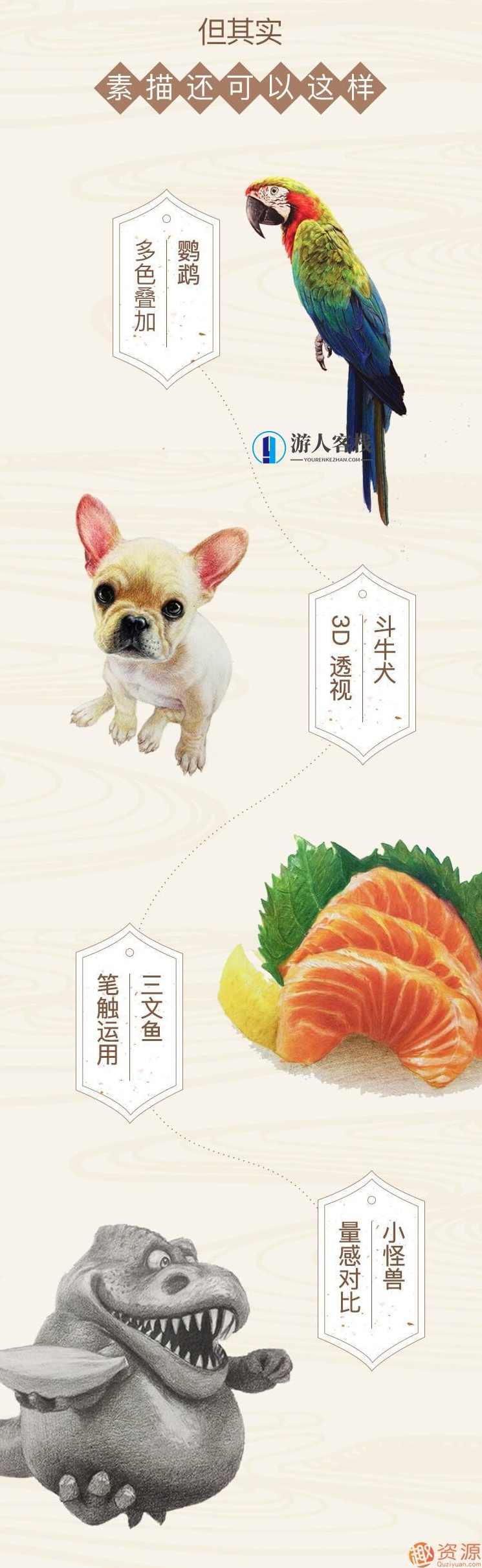 美术素描基础教学视频：从入门到精通,专业,第2张