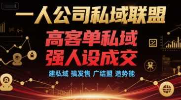 一人公司私域联盟，高客单私域，强人设成交，建私域 搞发售 广结盟 造势能，私域联盟新势力，高效成交、强人设建设、广结盟造势,课程,管理,直播,定位,团队,第1张
