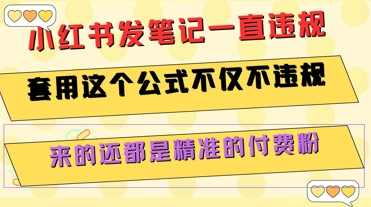 小红书发笔记一直违规，套用这个公式不仅不违规，来的还都是精准的付费粉【揭秘】小红书违规不再忧，揭秘精准付费粉获取秘笈,理解,第1张