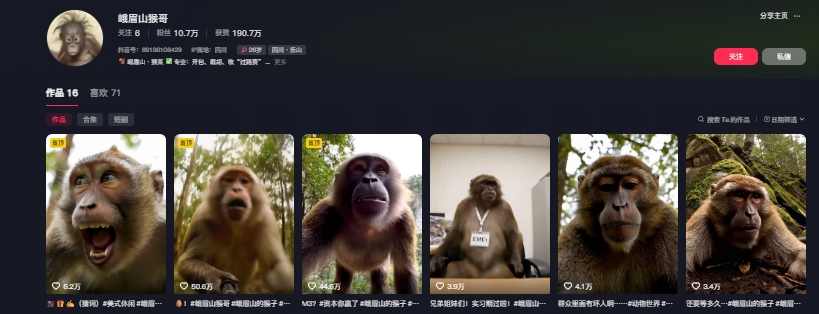 最新爆火的峨眉山猴子短视频制作教程，条条点赞10w+，谁做谁火【教程+提示词】爆款教程峨眉山猴子短视频制作秘籍，火爆全网教程分享,直播,视频制作,第2张