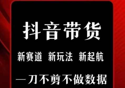 抖音短视频一刀不剪带货，不剪辑，不直播，每天发个视频，等着出单获取带货佣金【揭秘】抖音短视频零剪辑带货秘籍,直播,团队,第1张