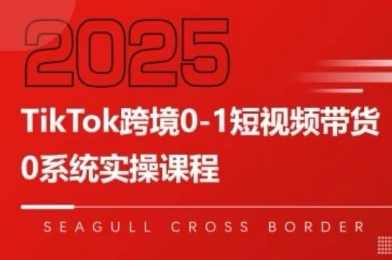 大亿老师TikTok跨境0-1短视频带货，系统拆解TikTok跨境带货全链路，实现跨境可持续盈利，大亿老师TikTok跨境盈利秘籍，全链路拆解与可持续盈利策略