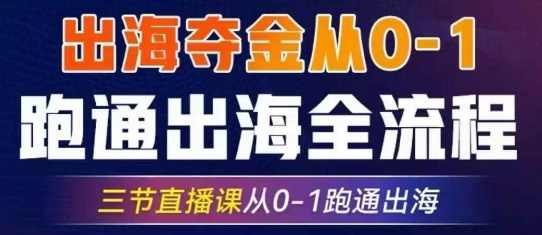 14节出海夺金从0-1跑通出海全流程-跨境电商教程，跨境电商全流程实战，从0到1出海夺金教程,课程,电商,第1张