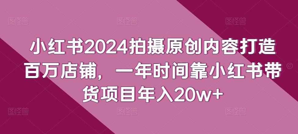 一年时间靠小红书带货项目年入20w+，最不能错的大红利项目，小红书带货年入20w+红利项目