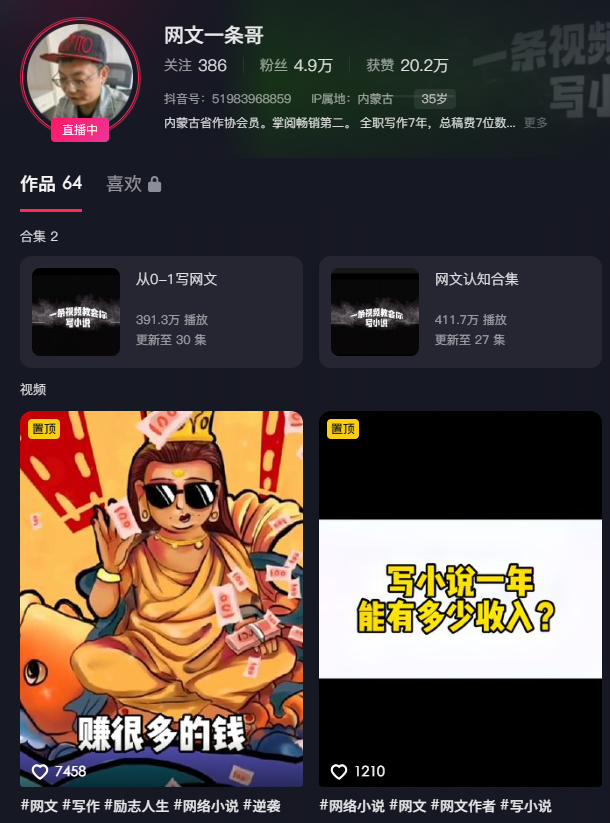 【网文一条哥】网文精品写作课，大量真实学员案例讲解，认真教你写网文，网文实战进阶班，精彩案例分享，实战技巧传授，助你写出爆款网文,课程,学习,小说,高潮,第1张