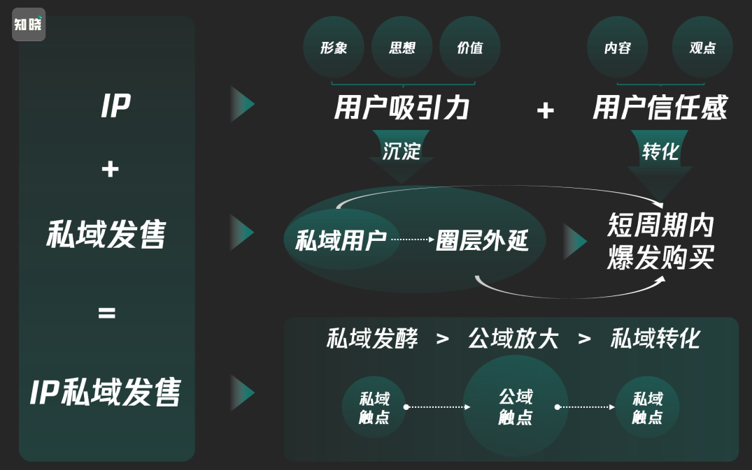 私域IP起盘，私域ip建立、起盘、高转化，打造年入千万的私域ip模型，私域流量崛起，IP打造策略赢未来