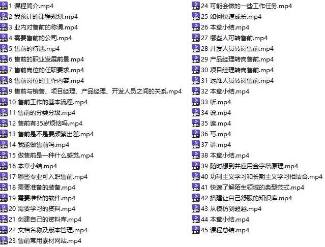 售前解决方案工程师透彻讲解视频课程 初级238元，智能售前解决方案工程师课程演示,课程,学习,管理,发展,专业,成长,第2张