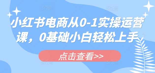 小红书电商0基础+高级运营课，新人小白必学方法，实操教学+案例分析，电商运营实战进阶课，新手进阶电商运营之道,课程,学习,电商,支持,脚本,第1张