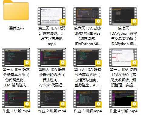 7天打造IDA9.0 大师：从零基础到逆向精英（价值299元）七天进阶IDA9.0大师，逆袭逆向精英之路,课程,学习,管理,定位,脚本,第2张