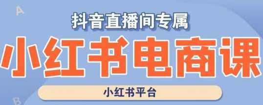 小红书电商高级运营课程实操教学案例分析，电商运营实战进阶，高级运营课程案例解析