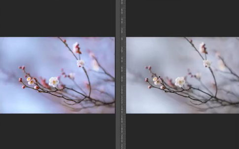 梅花四摄，梅花摄影技巧与后期，主讲：葛宏军老师，梅花秘境，摄影技巧与后期秘笈,摄影,第1张