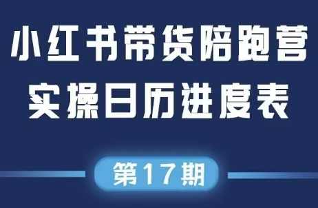 盗坤·抖音小红书视频号短视频带货与直播变现（11-18期）抖音小红书短视频带货直播新纪元，盗坤策略揭秘
