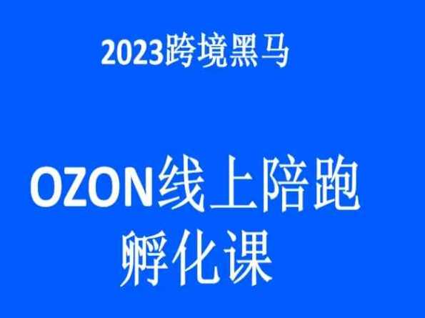 Ozon跨境电商实战陪跑课,教你从0到1出单,投入少适合普通人,Ozon实战出单课,策略指导+实战演练,助你轻松入门跨境电商,课程,模板,电商,第1张 Ozon跨境电商实战陪跑课,教你从0到1出单,投入少适合普通人,Ozon实战出单课,策略指导+实战演练,助你轻松入门跨境电商,课程,模板,电商,第1张