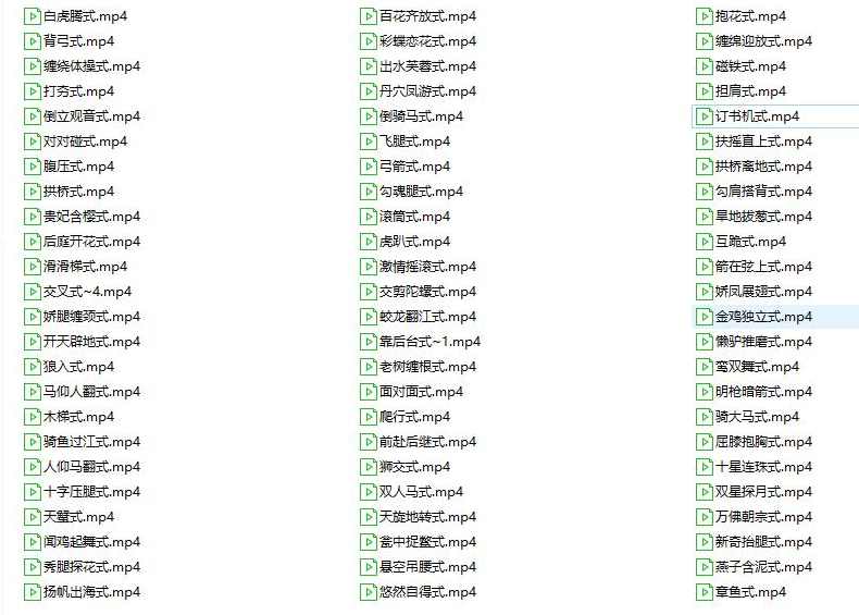 男女欢悦性爱精彩解说视频（共72部姿势视频）