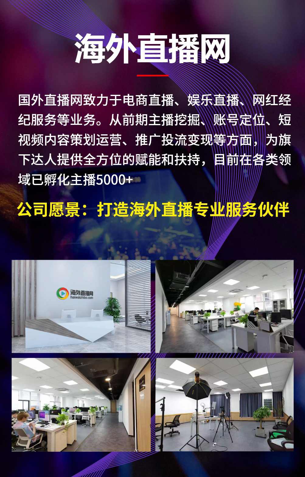 水晶IP主理人孵化训练营，五行水晶定制入门课程,课程,直播,专业,定位,模板,第1张