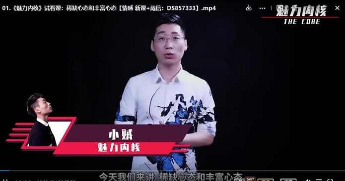 爱上情感《魅力内核：你的强大状态引擎》18.5G