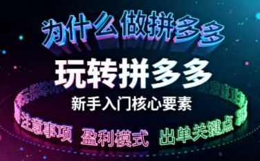 新手小白如何做拼多多 玩转拼多多核心要素,课程,第1张