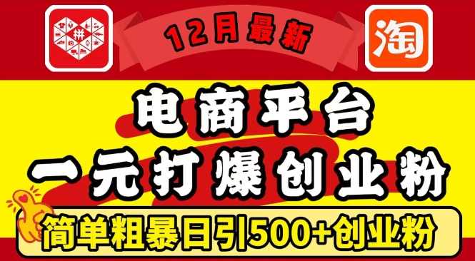 12月最新：电商平台1元打爆创业粉，简单粗暴日引500+精准创业粉,课程,理解,电商,创新,电子商务,第1张