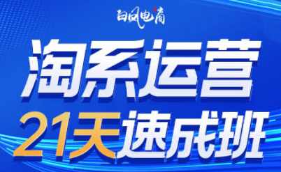 白凤电商·淘系运营21天速成班（更新11月）0基础淘系运营课,课程,理解,目标,定位,团队,竞争,电商,合作,数据分析,第1张