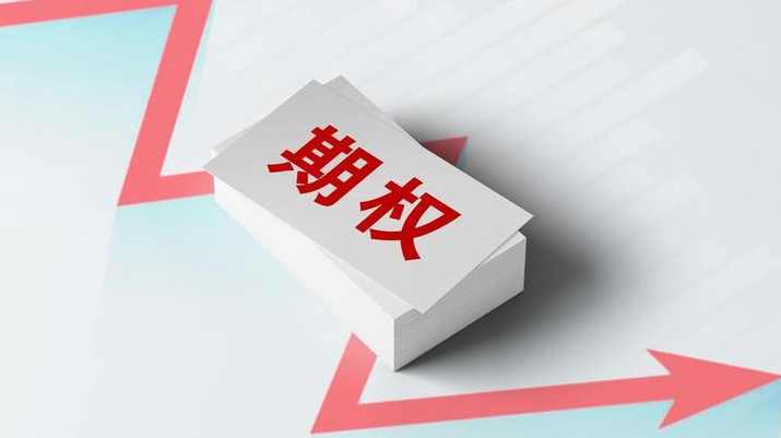 干货逻辑财富篇:期权(进阶篇) 1pdf,第1张