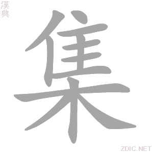 集集C4D进阶场景概念