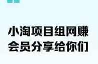 小淘项目组网赚永久会员课价格几千（更新12月）