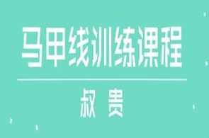 叔贵《马甲线训练课程》