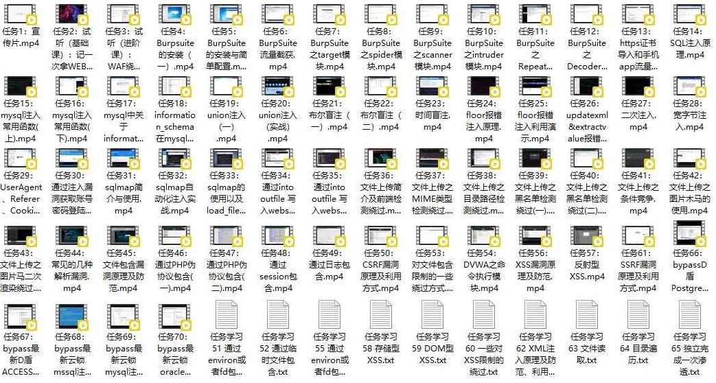 最新WEB渗透安全经过亲自测试工程师 实战就业班 价值4.5k,课程,学习,目标,竞争,黑名单,第1张