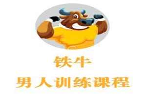 铁牛会员课程合集 铁牛延时训练法