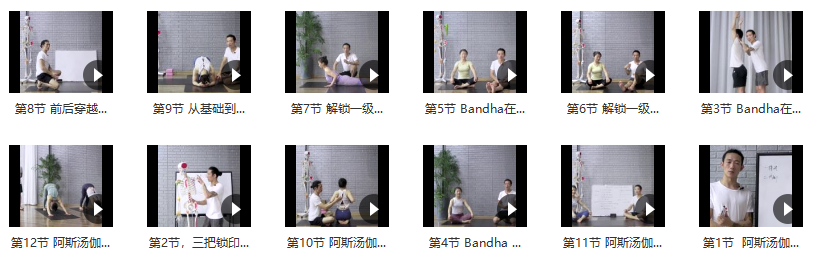 殷朝文 阿斯汤伽 一级序列提升课《进阶二阶准备篇》,课程,瑜伽,第2张