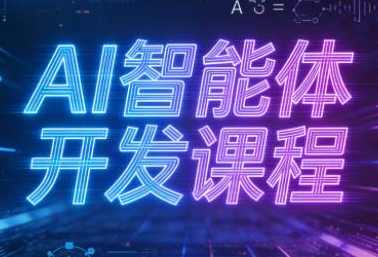 迪哥2025AI智能体开发课程