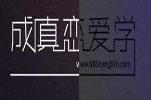 成真恋爱学教程全集